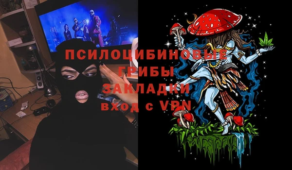 дурь Приозерск